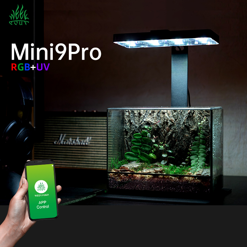 Planted Aquarium For Sale - Lampada LED per Acquario Mini9pro Nano,