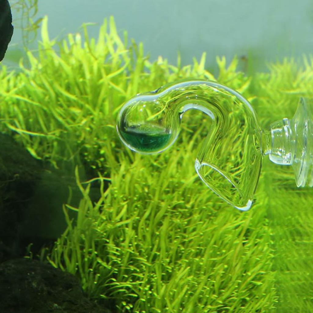 Glass Co2 Drop Checker - Monitor CO2 per Acquario, Indicatore CO2