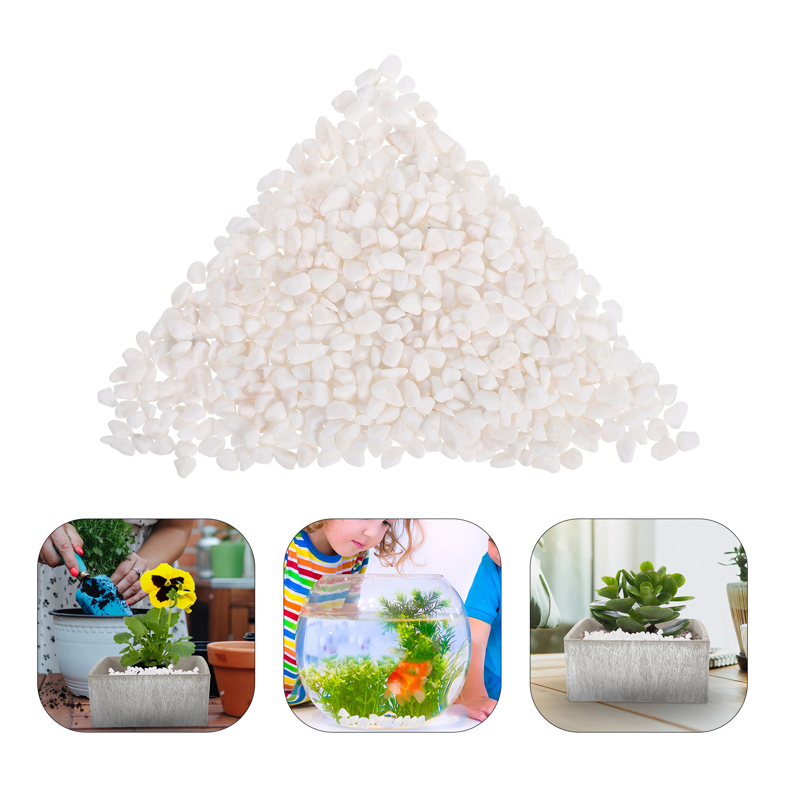 Planted Aquarium With Gravel - Ghiaia decorativa naturale per acquari, 250