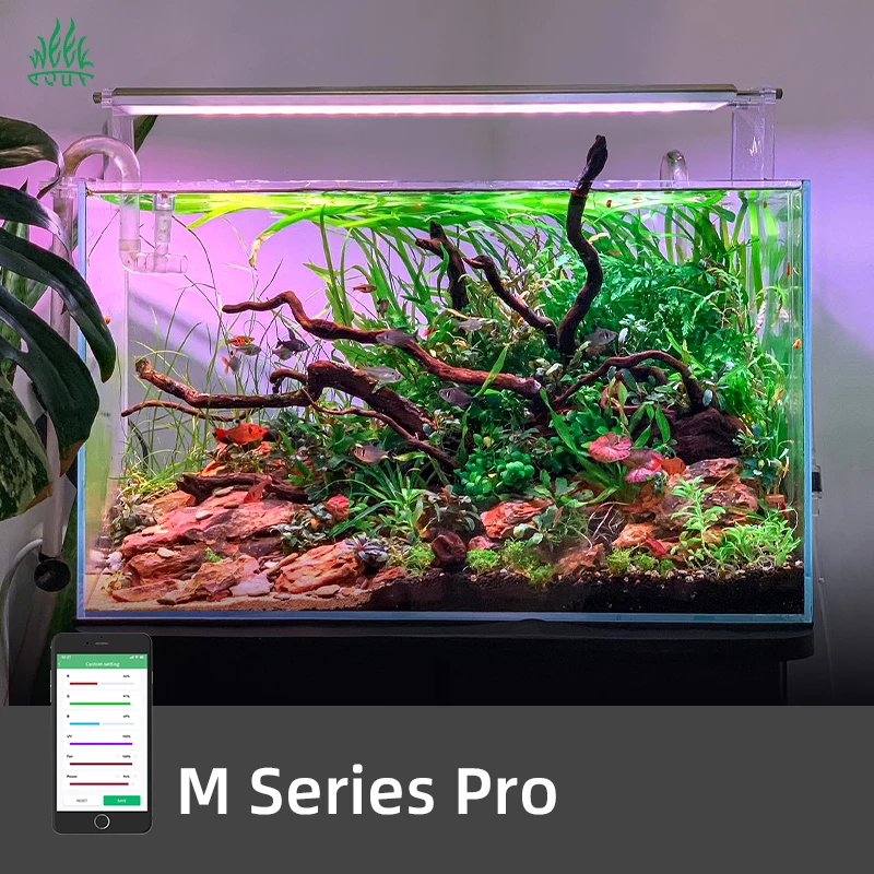 Planted Aquarium For Sale - ZXY Lampada LED Smart per Acquario