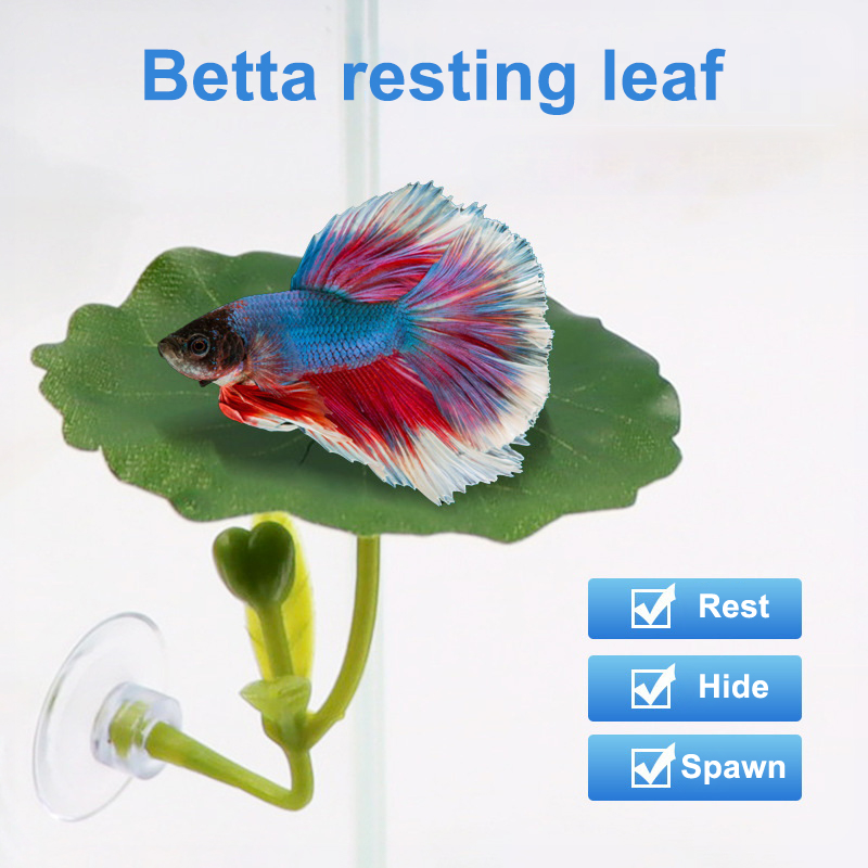 Amaca a foglia verde da 1 pezz - Planted Aquarium For Betta recensione e prezzo