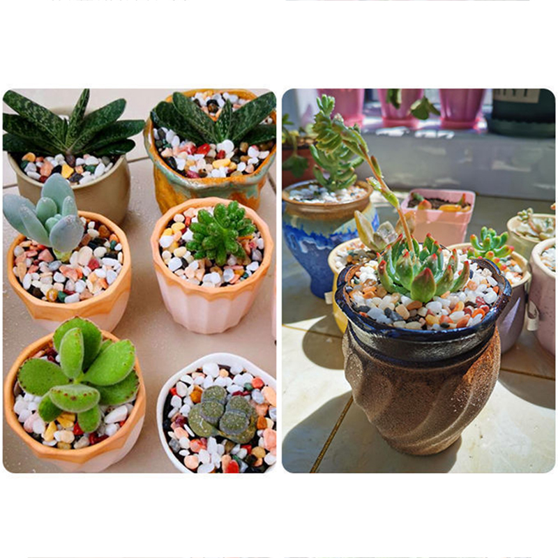 Sabbia naturale per acquario d - Planted Aquarium With Gravel recensione e prezzo