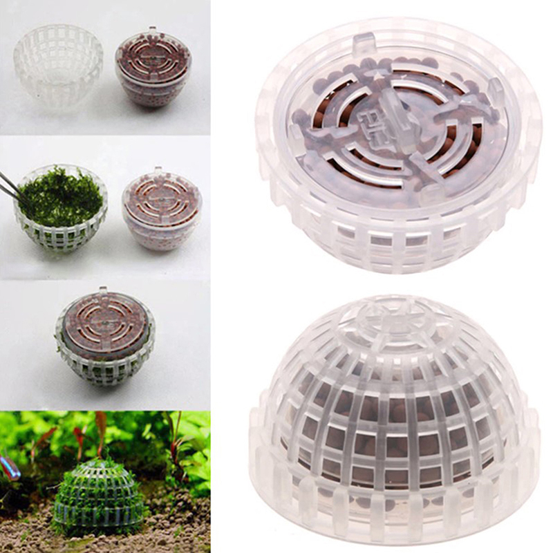 Offerta Speciale: Decorazioni  - Planted Aquarium For Sale recensione e prezzo