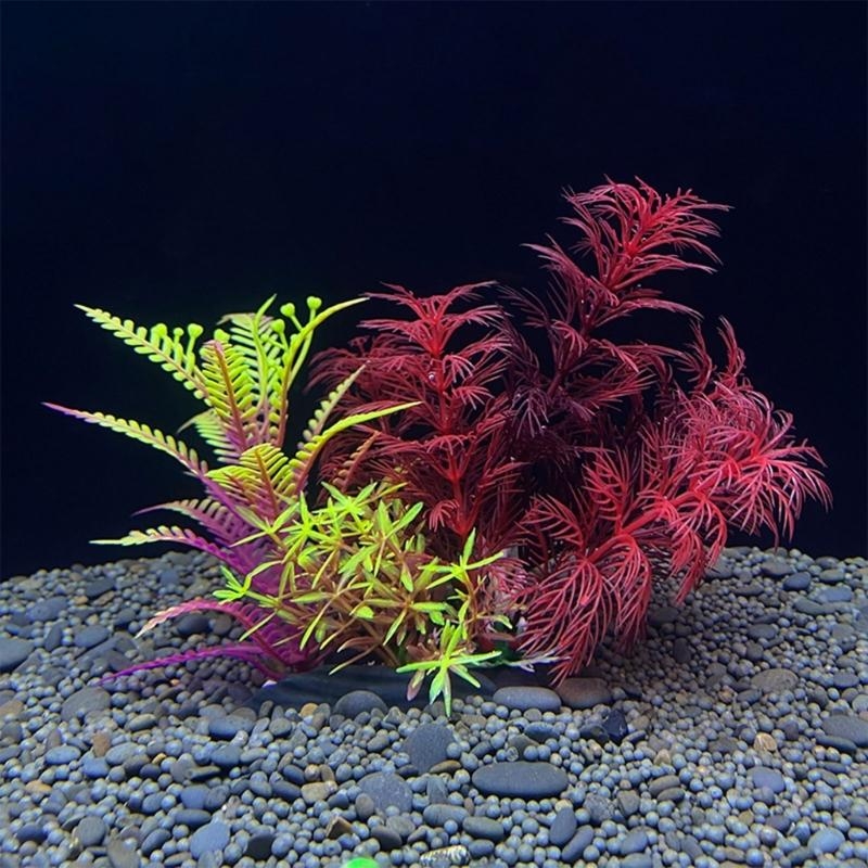 Decorazione artificiale per ac - Planted Aquarium For Sale recensione e prezzo