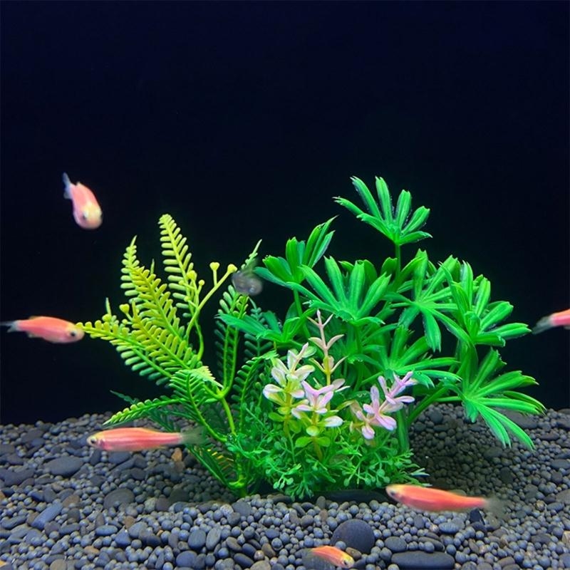 Decorazione artificiale per ac - Planted Aquarium For Sale recensione e prezzo