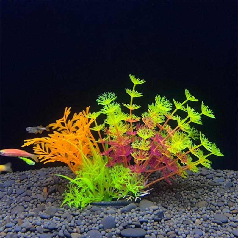 Decorazione artificiale per ac - Planted Aquarium For Sale recensione e prezzo