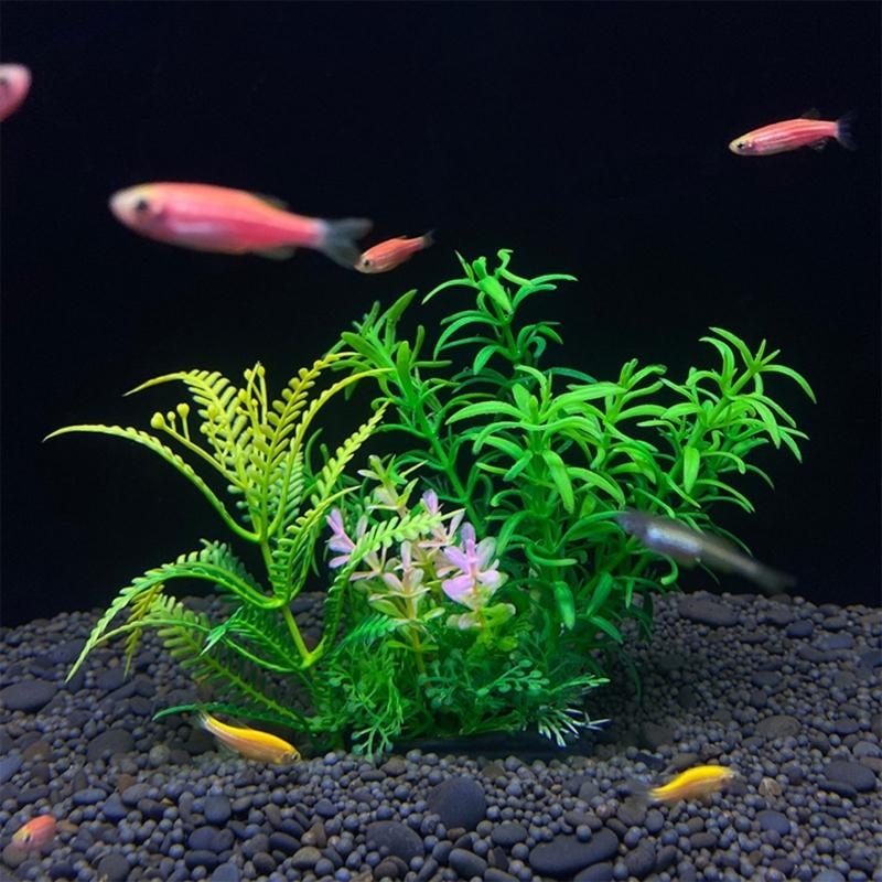 Decorazione artificiale per ac - Planted Aquarium For Sale recensione e prezzo