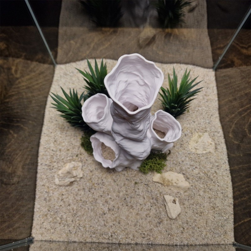 Offerta Speciale: Tunnel Coral - Planted Aquarium For Sale recensione e prezzo