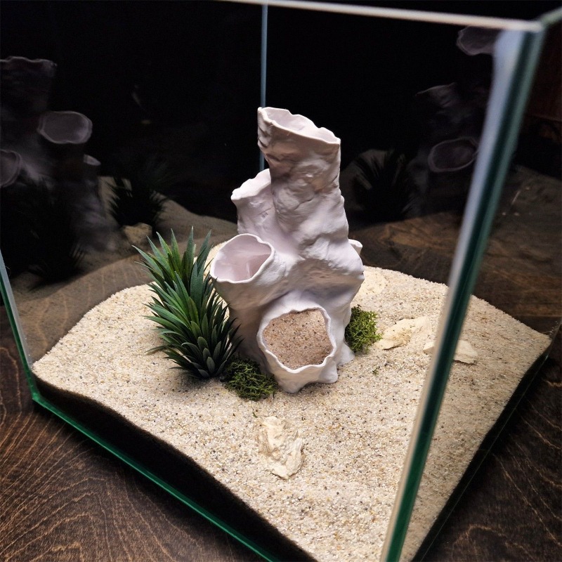 Offerta Speciale: Tunnel Coral - Planted Aquarium For Sale recensione e prezzo