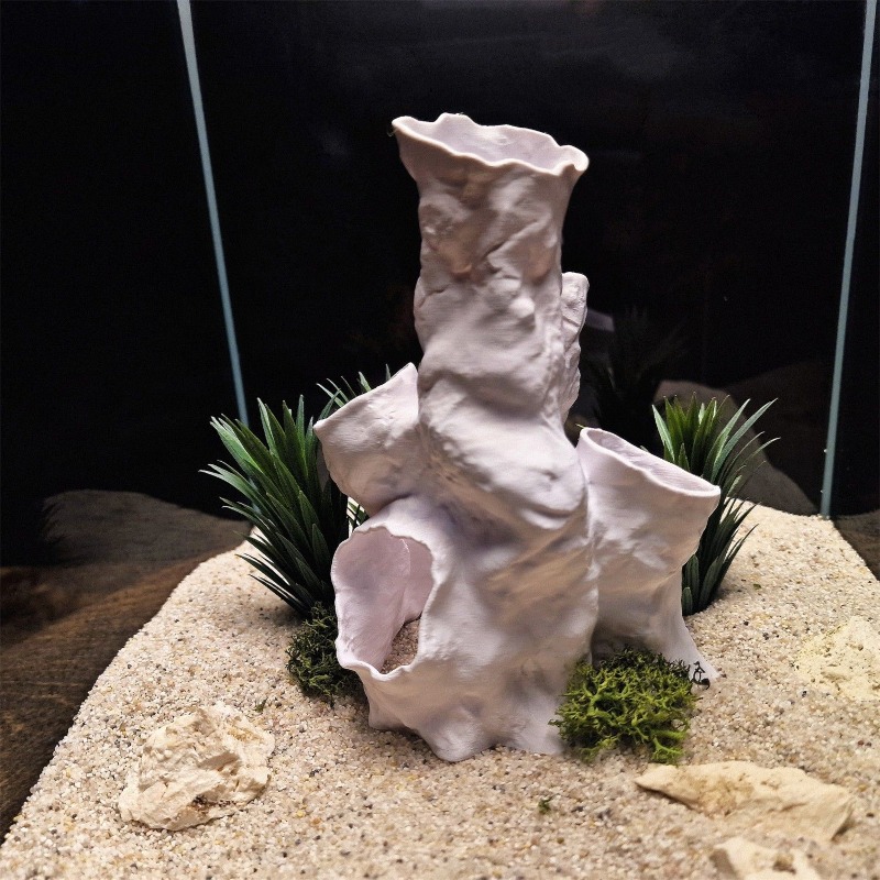 Offerta Speciale: Tunnel Coral - Planted Aquarium For Sale recensione e prezzo