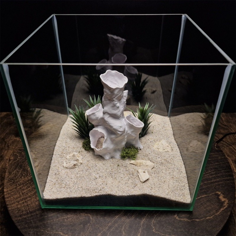 Offerta Speciale: Tunnel Coral - Planted Aquarium For Sale recensione e prezzo