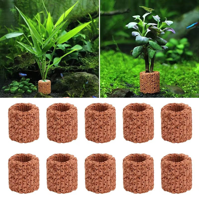 Anello fisso per piante acquat - Planted Aquarium Tools recensione e prezzo