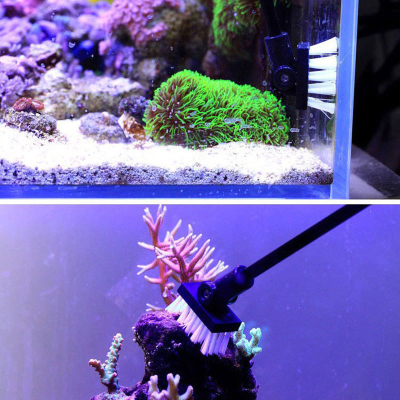 Spazzola per la pulizia della  - Planted Aquarium Tools recensione e prezzo