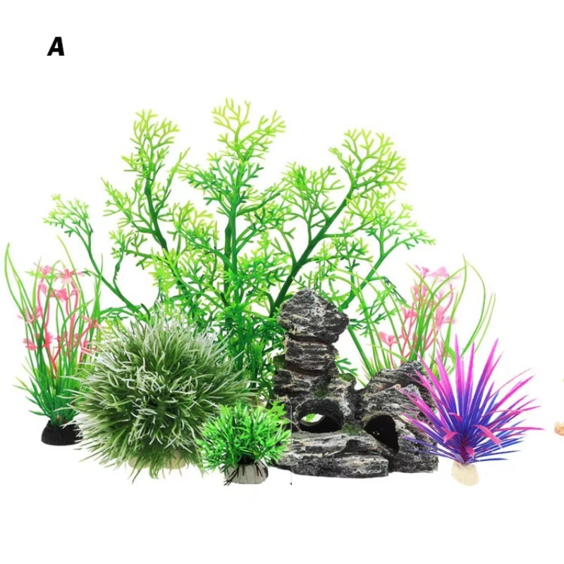 10 Pezzi Nuovi Arrivi Piante e - Planted Aquarium For Sale recensione e prezzo