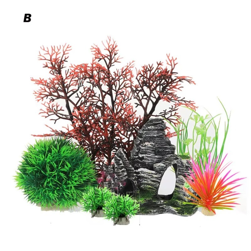 10 Pezzi Nuovi Arrivi Piante e - Planted Aquarium For Sale recensione e prezzo