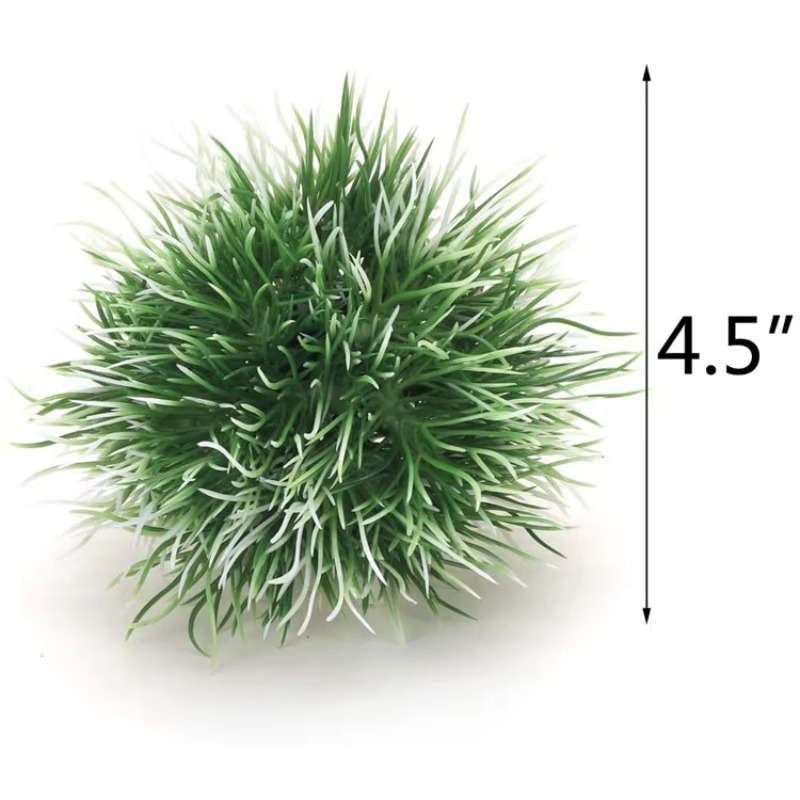 10 Pezzi Nuovi Arrivi Piante e - Planted Aquarium For Sale recensione e prezzo