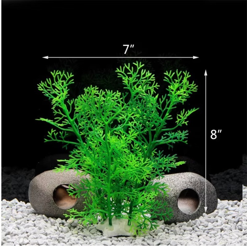 10 Pezzi Nuovi Arrivi Piante e - Planted Aquarium For Sale recensione e prezzo