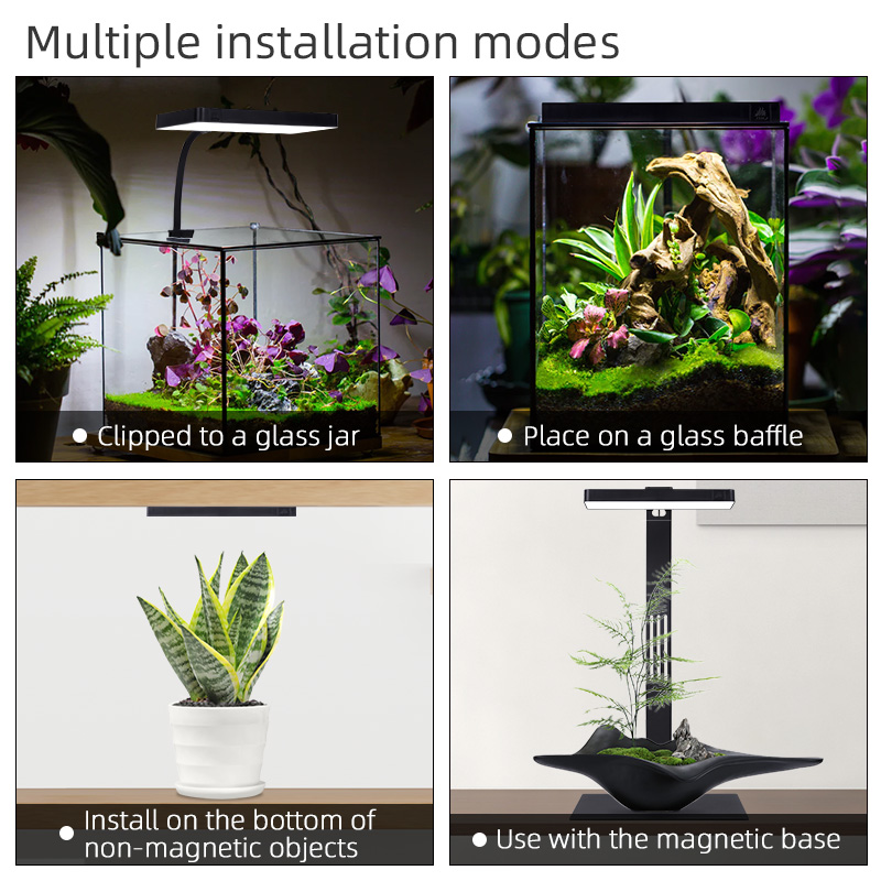 Lampada LED per Acquario Mini9 - Planted Aquarium For Sale recensione e prezzo