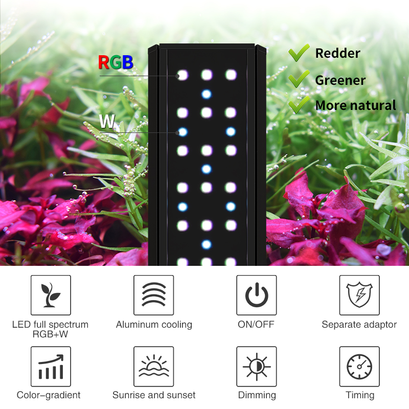 ZXY Vendita Calda WEEKAQUA V40 - Planted Aquarium For Sale recensione e prezzo
