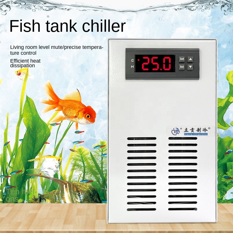 TOP Vendite Serbatoio di Pesce - Planted Aquarium For Sale recensione e prezzo