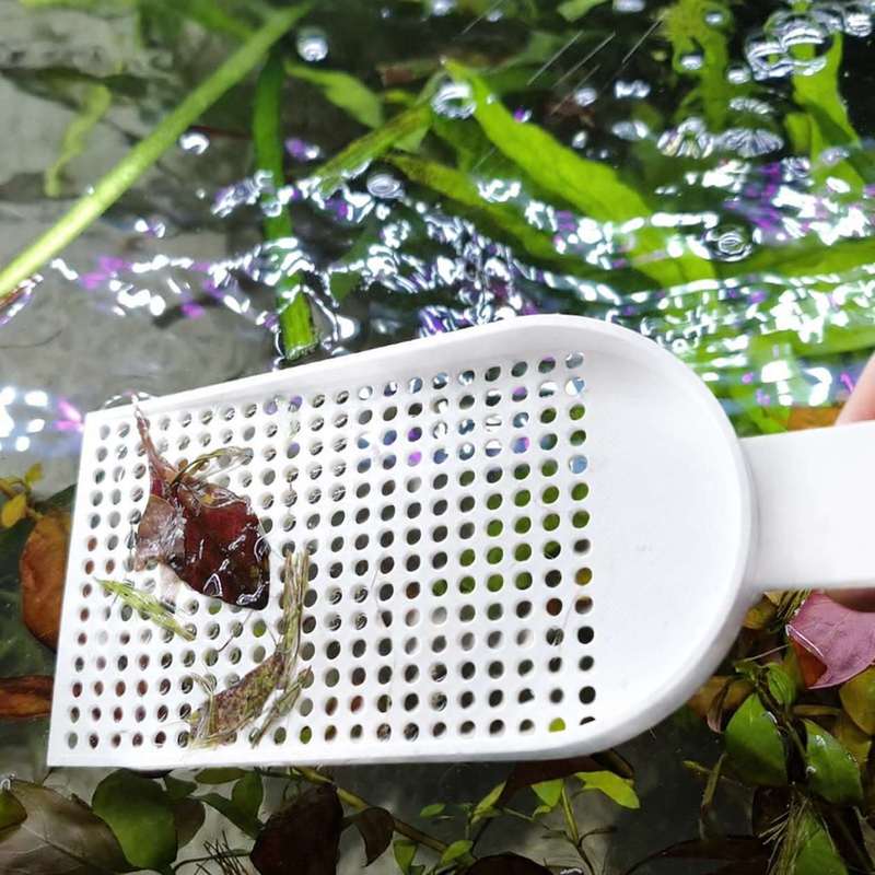 Rete per la Pulizia dei Detrit - Planted Aquarium Tools recensione e prezzo