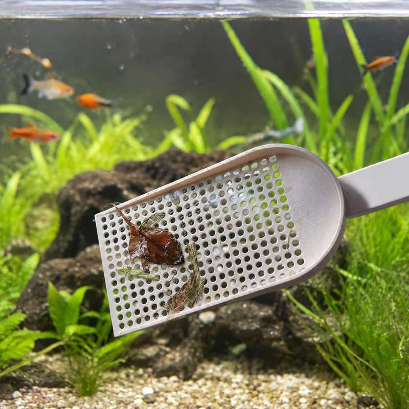Rete per la Pulizia dei Detrit - Planted Aquarium Tools recensione e prezzo