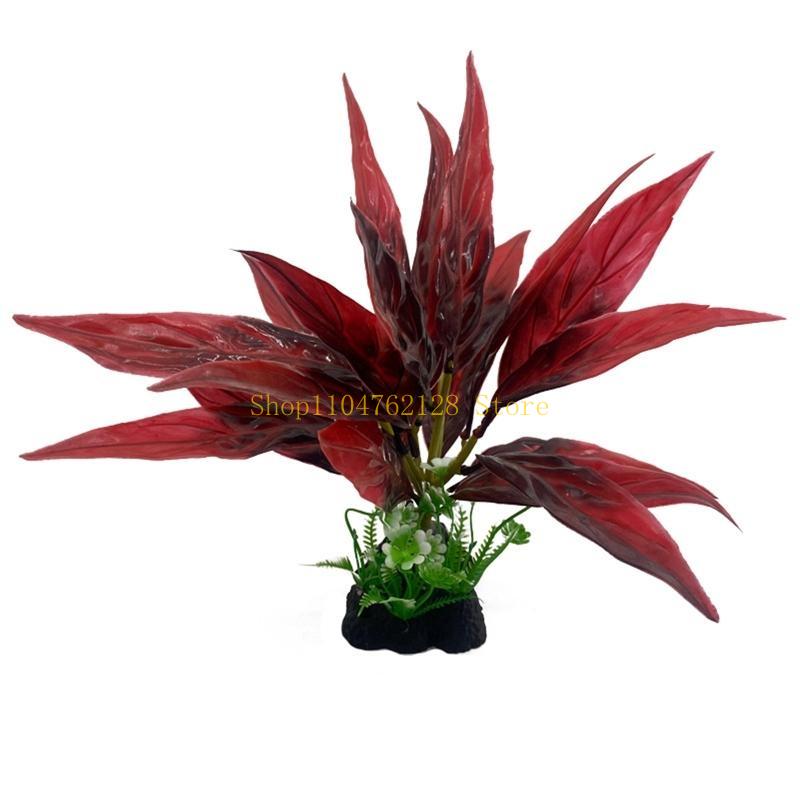 Acquario Piante acquatiche Pia - Planted Aquarium For Sale recensione e prezzo