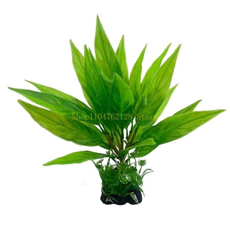 Acquario Piante acquatiche Pia - Planted Aquarium For Sale recensione e prezzo