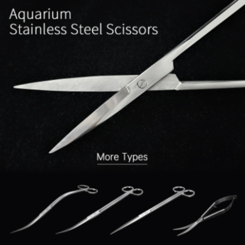 Forbici per Piante Acquatiche  - Planted Aquarium Tools recensione e prezzo