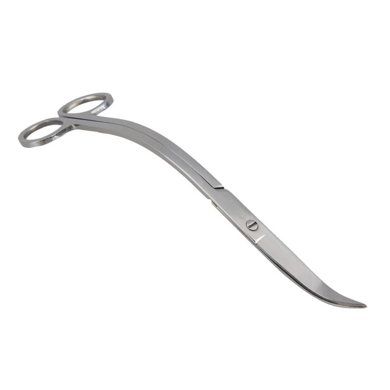 Strumenti per forbici per acqu - Planted Aquarium Tools recensione e prezzo