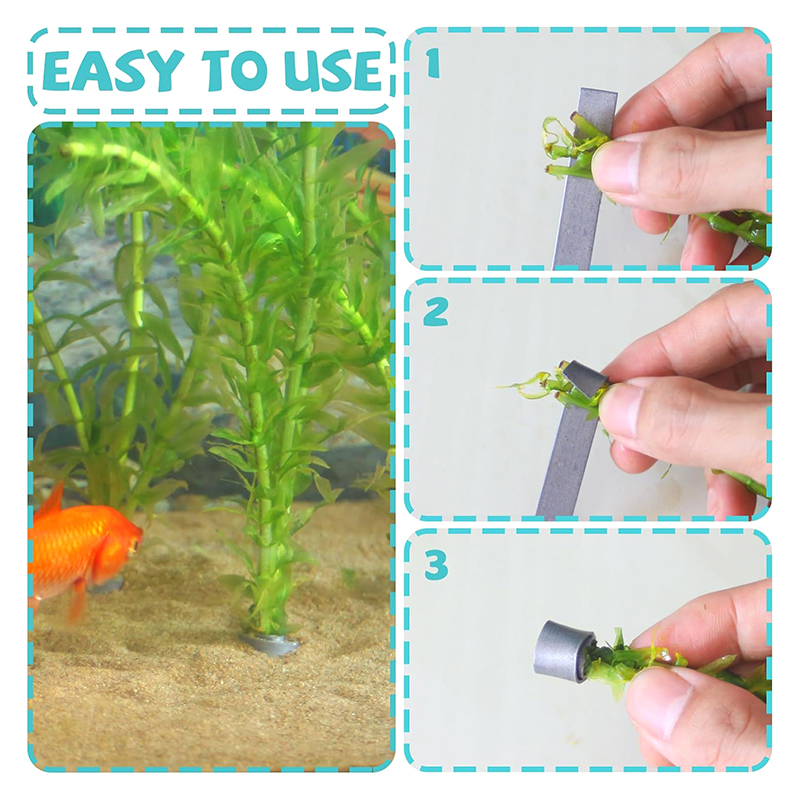 Nuova Offerta: 10 Pezzi di Pes - Planted Aquarium For Sale recensione e prezzo