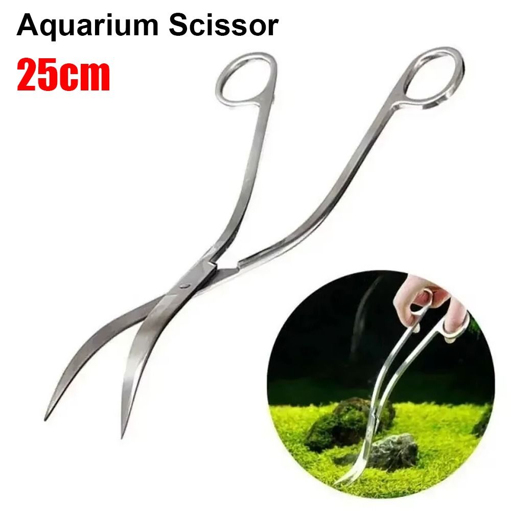 Forbici per Acquario in Acciai - Planted Aquarium Tools recensione e prezzo