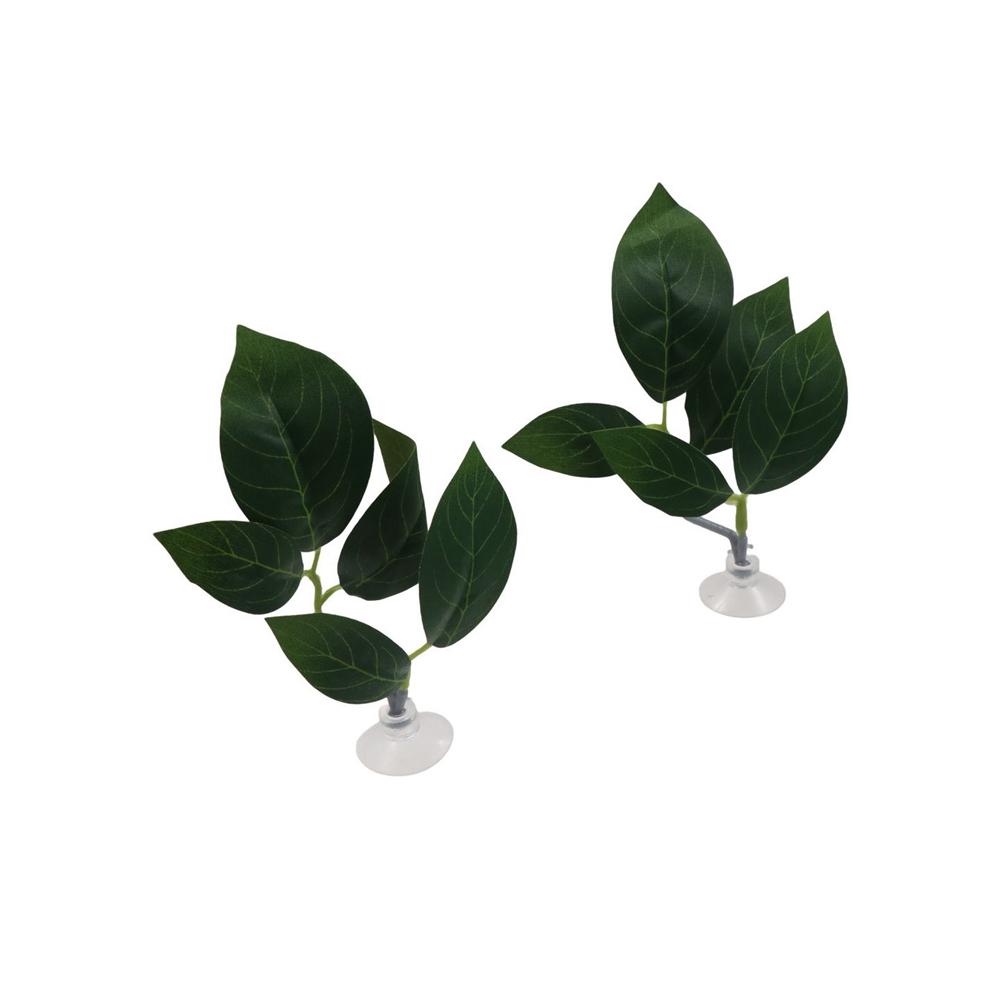Decorazioni per acquari: fogli - Planted Aquarium For Betta recensione e prezzo