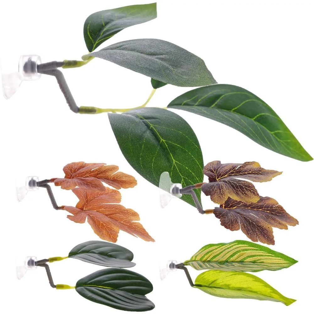 Decorazioni per acquari: fogli - Planted Aquarium For Betta recensione e prezzo