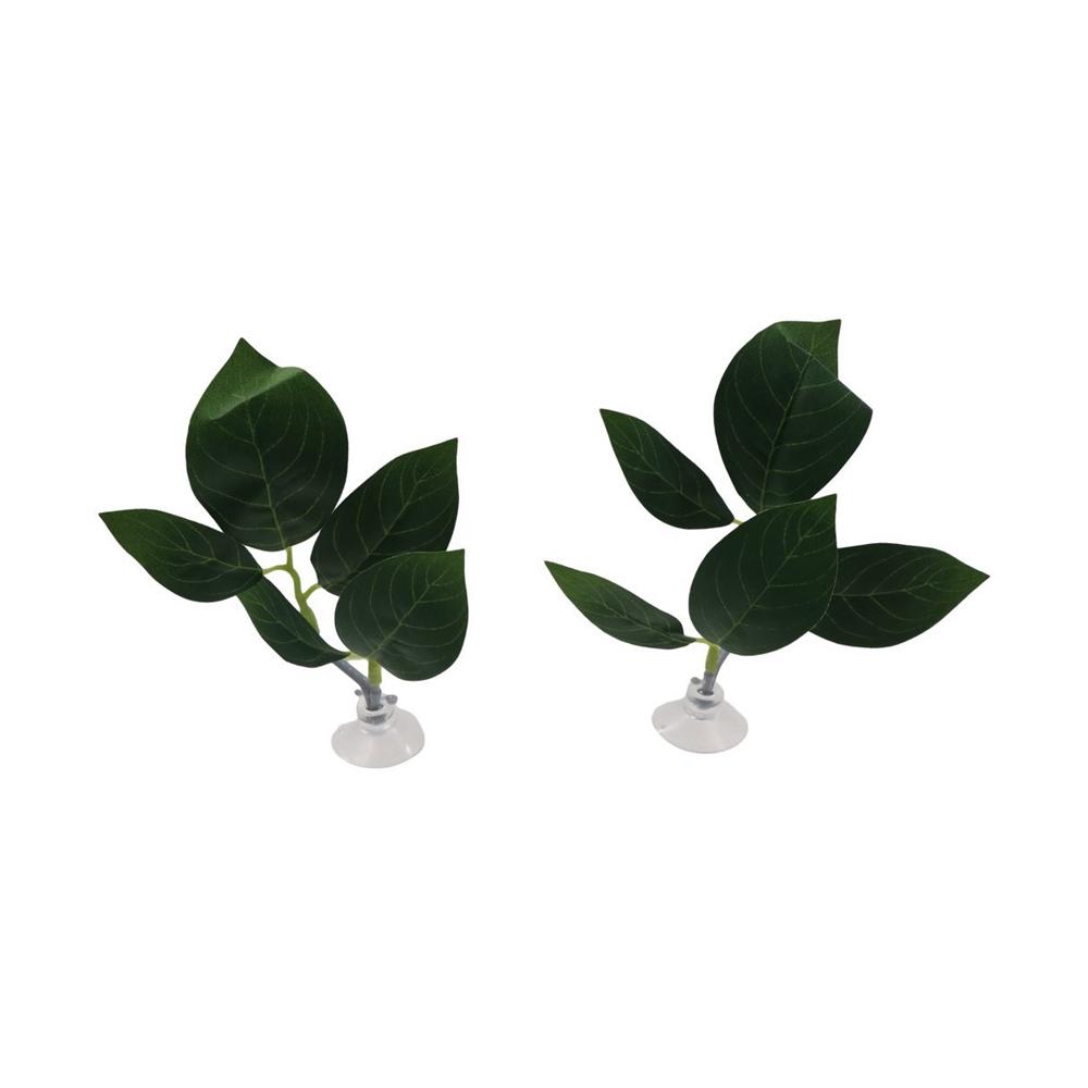 Decorazioni per acquari: fogli - Planted Aquarium For Betta recensione e prezzo