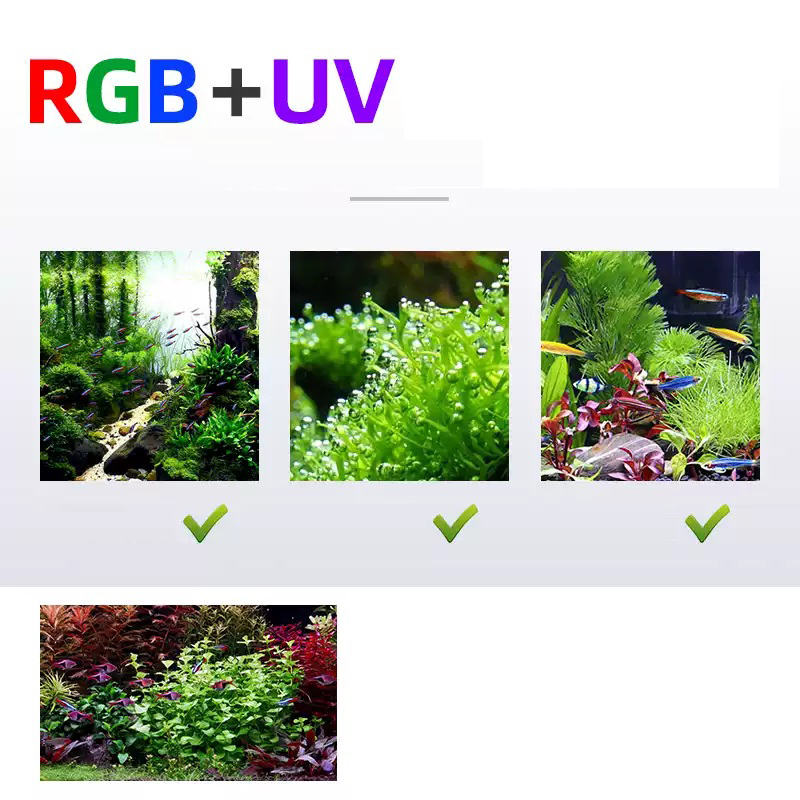 Illuminazione a LED 60 cm 80 c - Planted Aquarium For Sale recensione e prezzo
