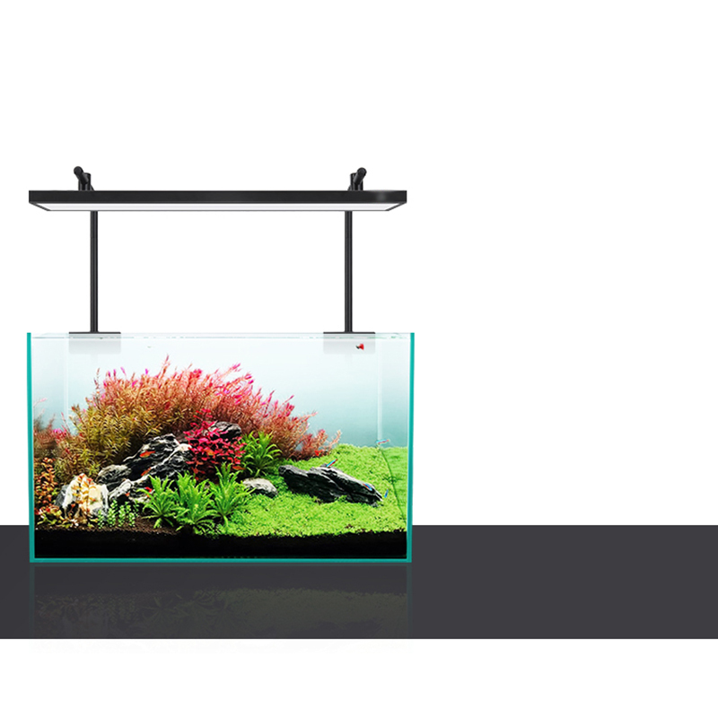 Illuminazione a LED 60 cm 80 c - Planted Aquarium For Sale recensione e prezzo