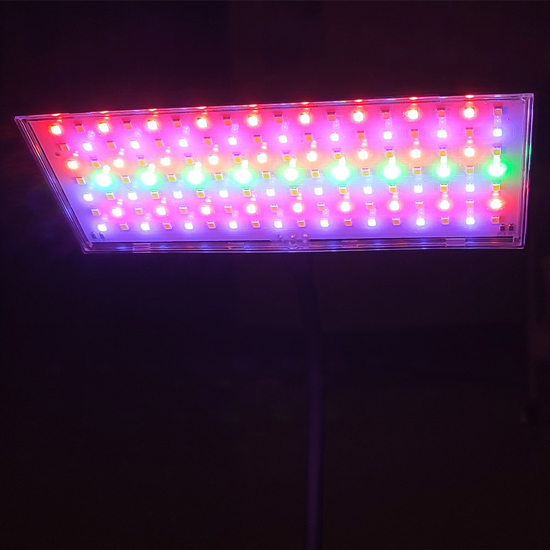 Lampada per acquario regolabil - Planted Aquarium Equipment recensione e prezzo
