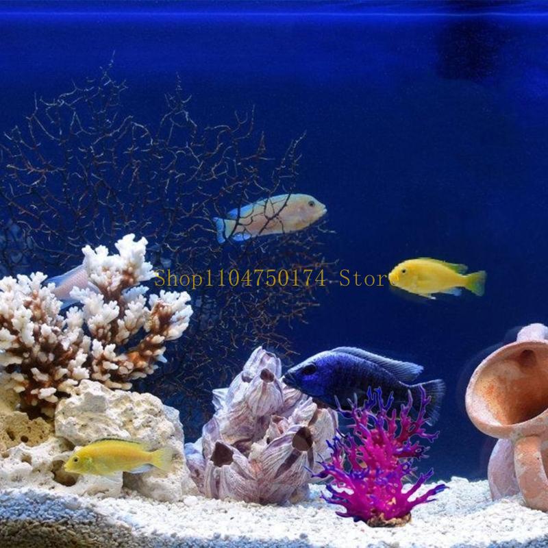 Pianta decorativa per alberi a - Planted Aquarium For Sale recensione e prezzo