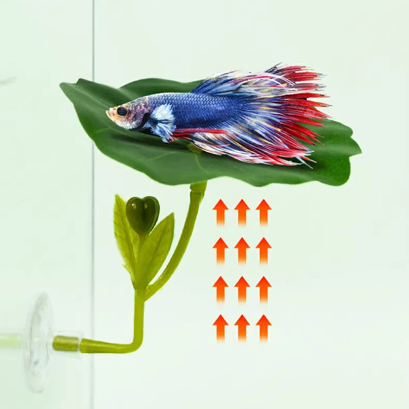 1Pc Amaca a foglia verde per p - Planted Aquarium For Betta recensione e prezzo