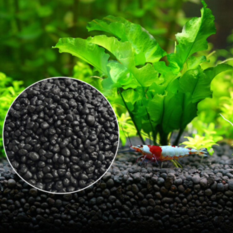 Acquario semi di piante terren - Aquarium Plant Liquid Fertilizer recensione e prezzo