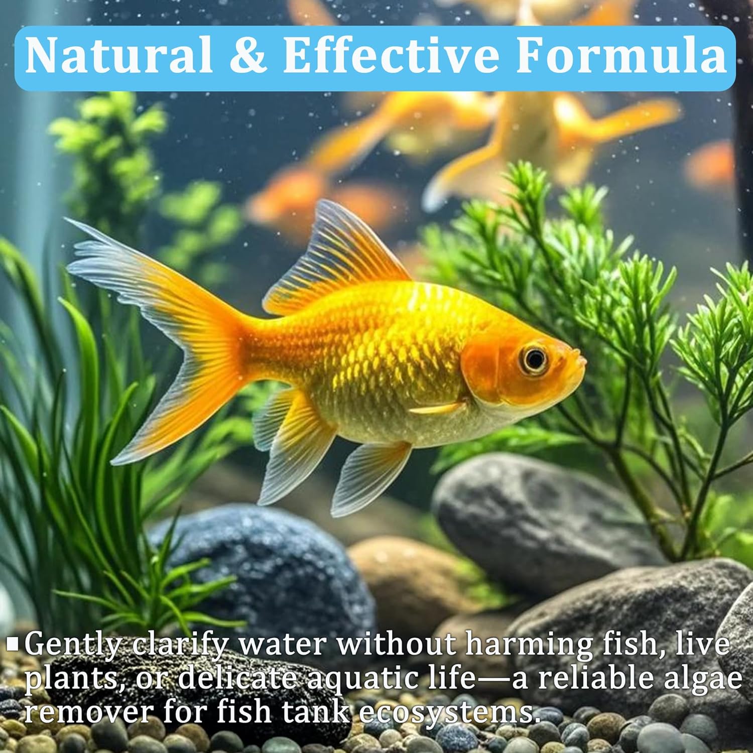 Compresse per la Purificazione - Aquarium Plant Liquid Fertilizer recensione e prezzo