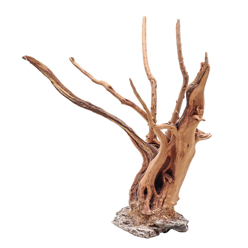 1PC Acquario Paesaggistica Orn - Planted Aquarium Media recensione e prezzo