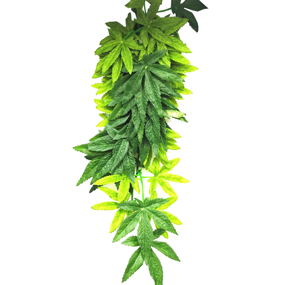 VENDITA CALDA 30/40/50 CENTIME - Planted Aquarium For Sale recensione e prezzo