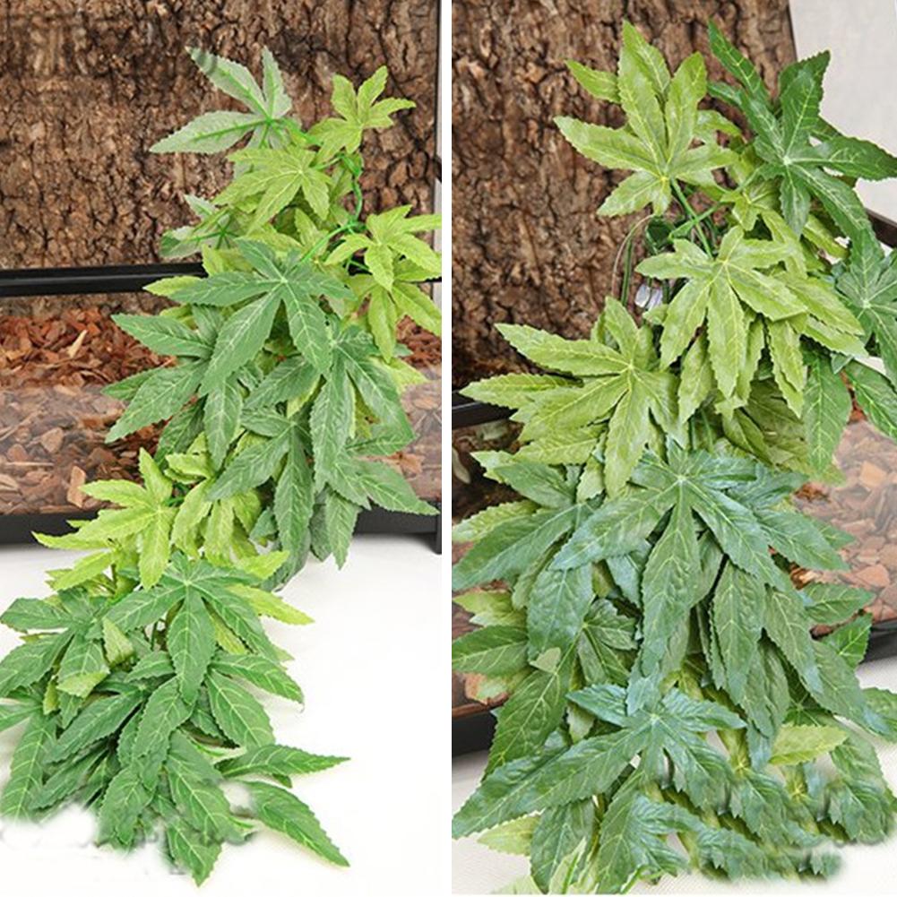 VENDITA CALDA 30/40/50 CENTIME - Planted Aquarium For Sale recensione e prezzo