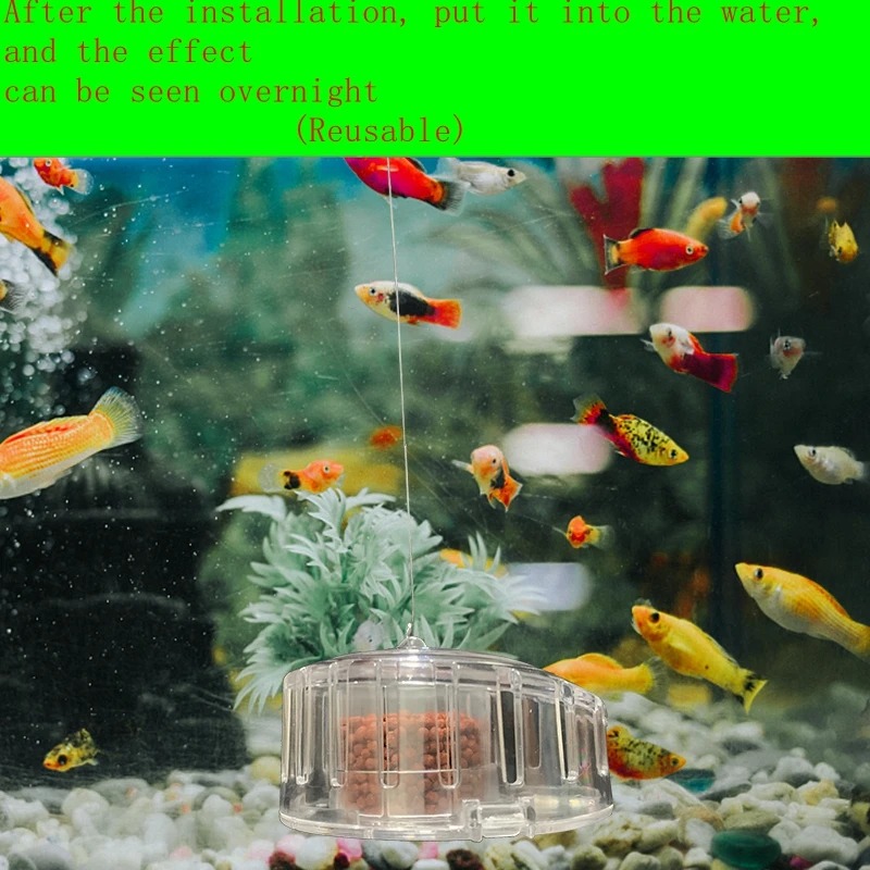 Acquario pianta lumaca trappol - Planted Aquarium Tools recensione e prezzo