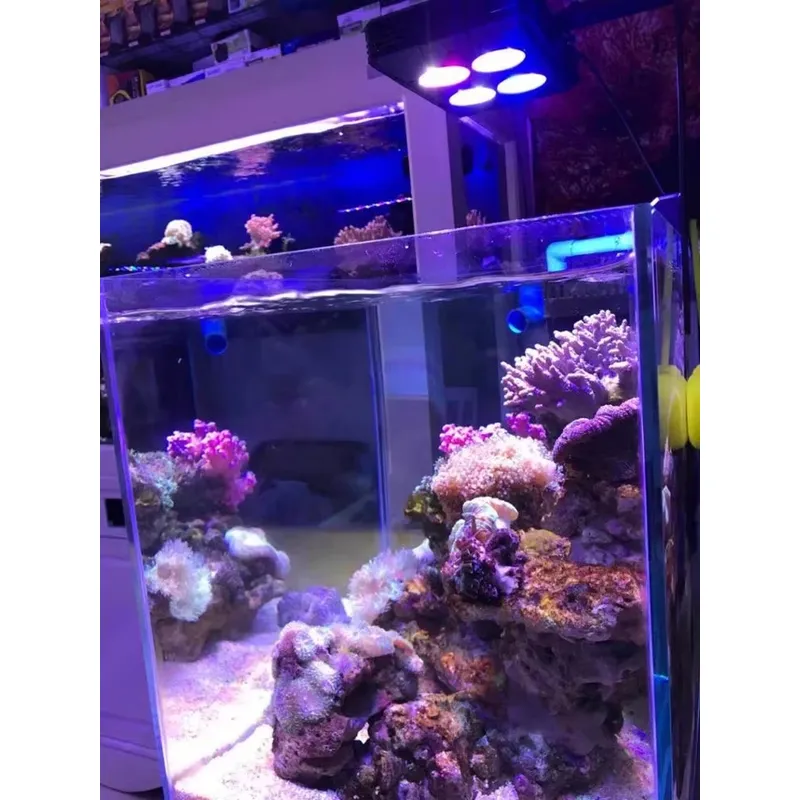 Gako A052 52w Luce LED per Acq - Planted Aquarium For Sale recensione e prezzo