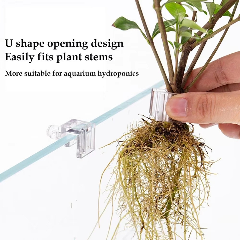 Offerta Speciale: 6 Pezzi di C - Planted Aquarium For Sale recensione e prezzo