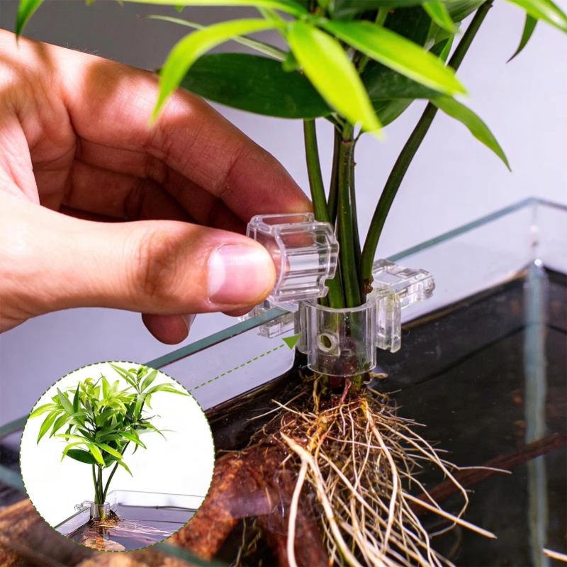 Offerta Speciale: 6 Pezzi di C - Planted Aquarium For Sale recensione e prezzo